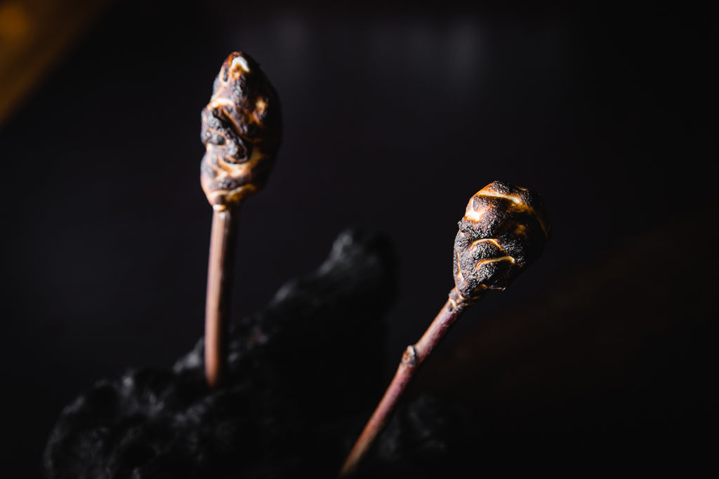 featured-image